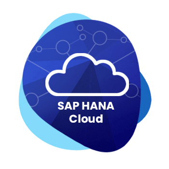 On-Cloud-ERP---S4-HANA