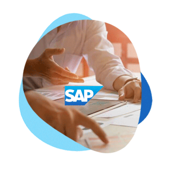 SAP-in-Public-sector